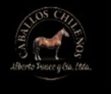 Caballos Chilenos logo